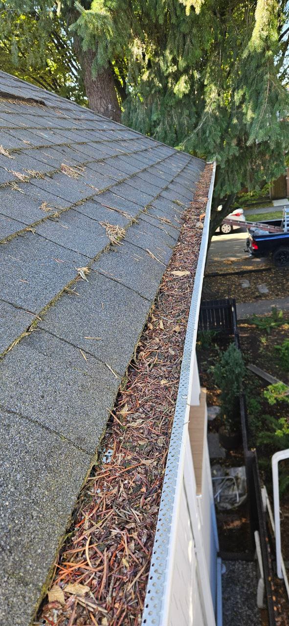 Pine needles and debris collecting in gutters at a Vancouver property