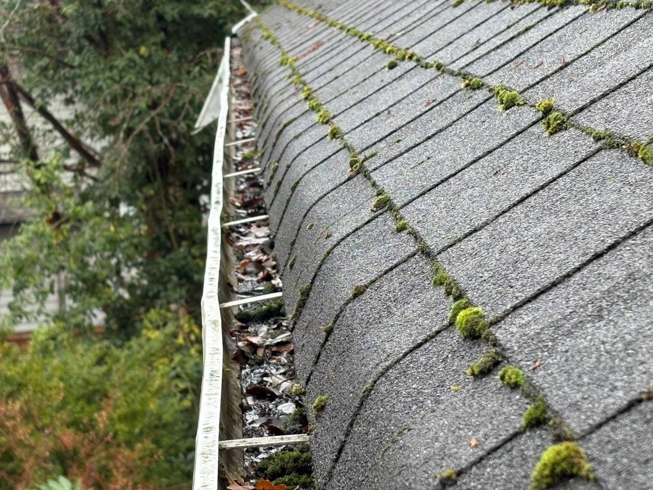 Roof and gutter cleaning in Vancouver