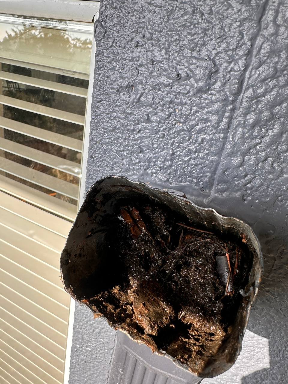 Clogged downspout requiring declogging service in Vancouver