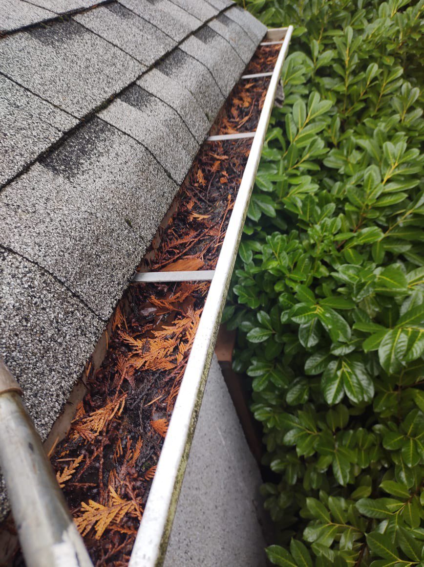 Gutter before professional cleaning in Vancouver