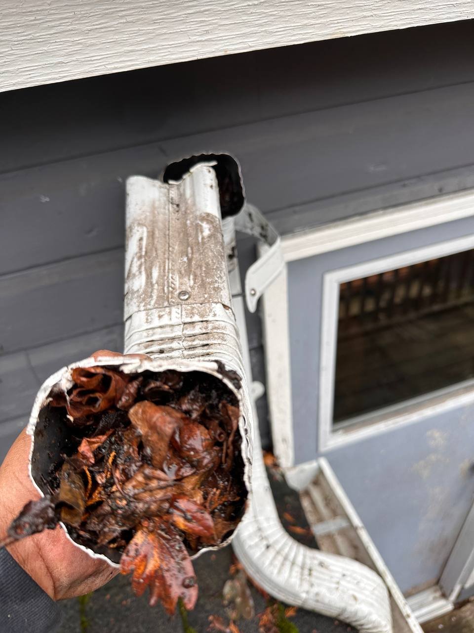 Clogged downspout filled with leaves and debris in Vancouver