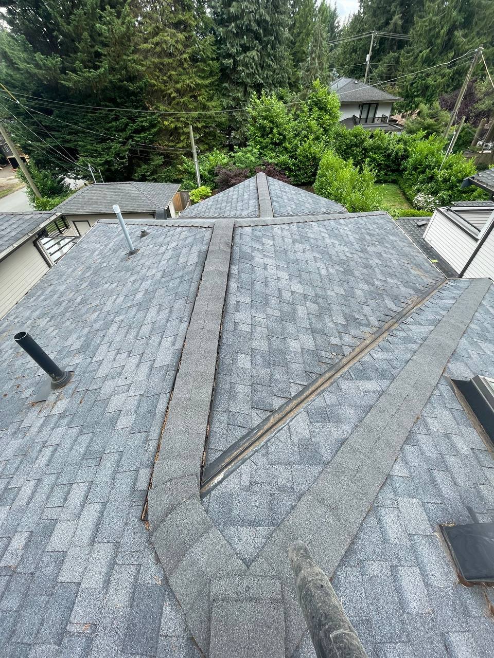 Asphalt shingle roof cleaning for strata and managed properties in Vancouver