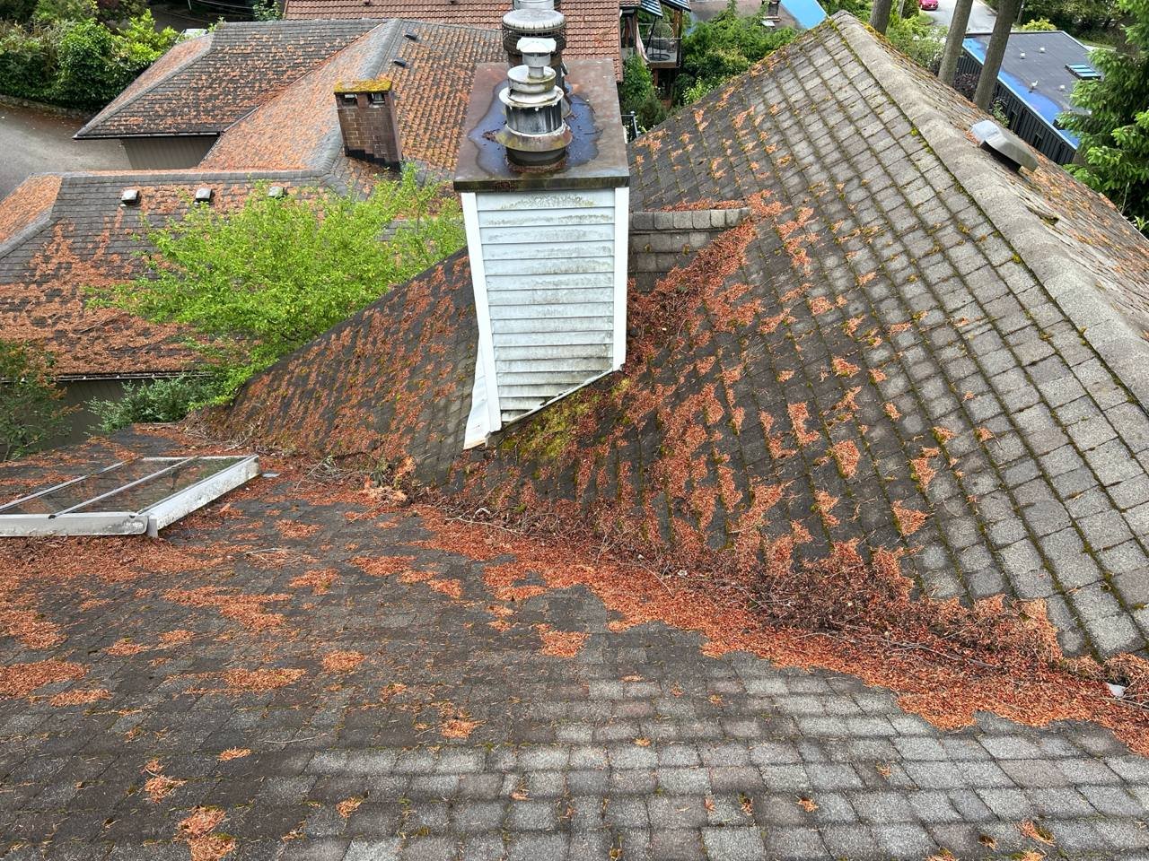 Roof debris removal service in Vancouver