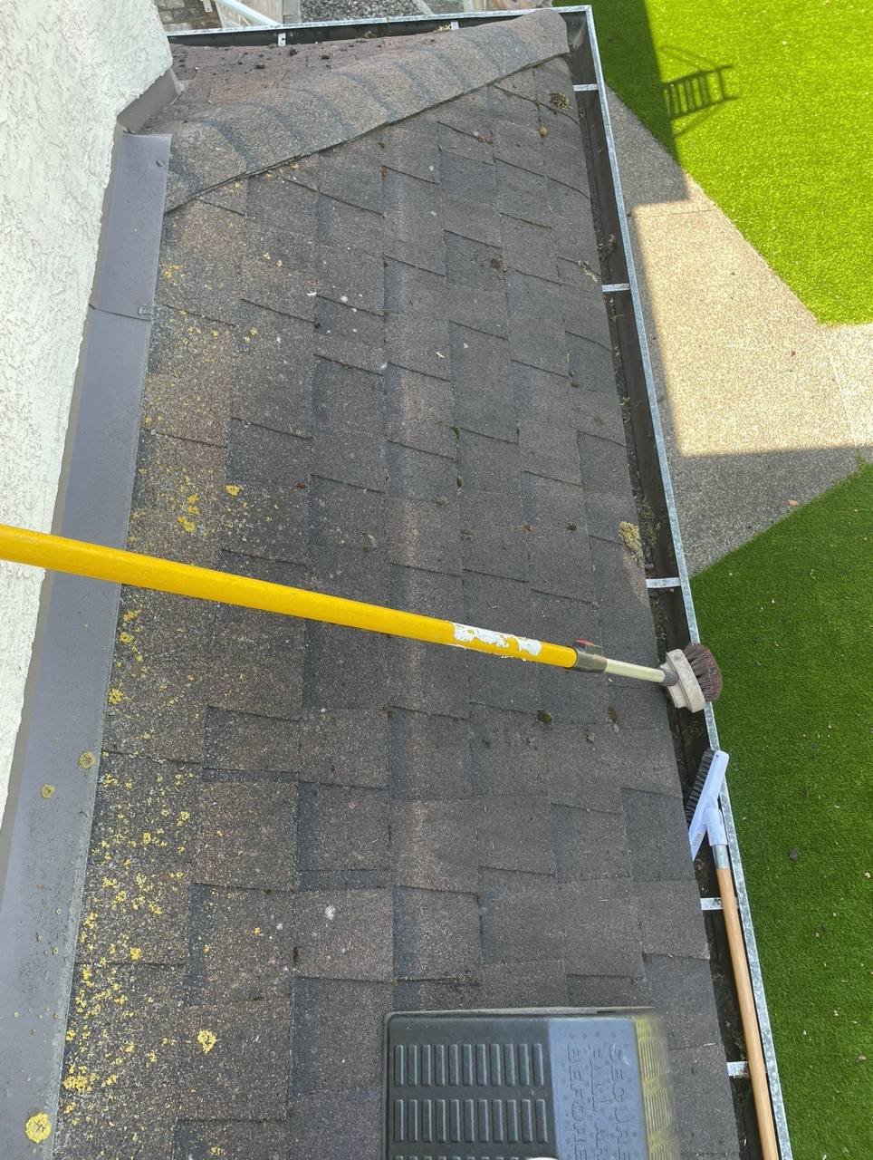 Lichen growing on asphalt shingle roof in Vancouver