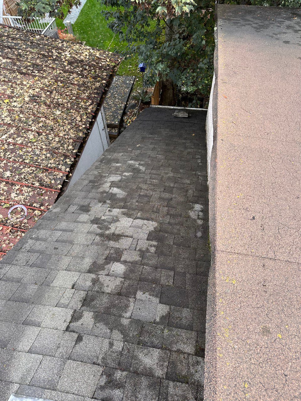 After moss and staining removal from asphalt shingle roof