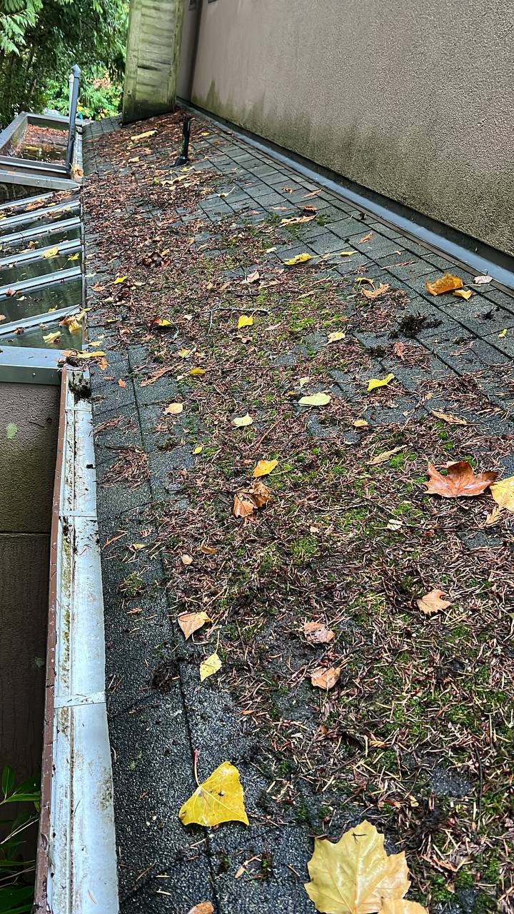 Asphalt shingle roof with leaves and debris in Vancouver