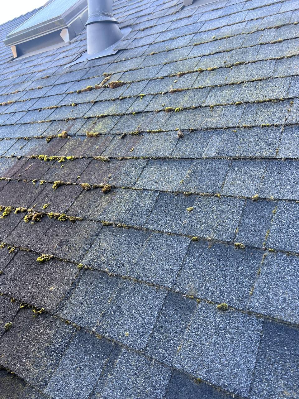Before debris removal from asphalt shingle roof in Vancouver