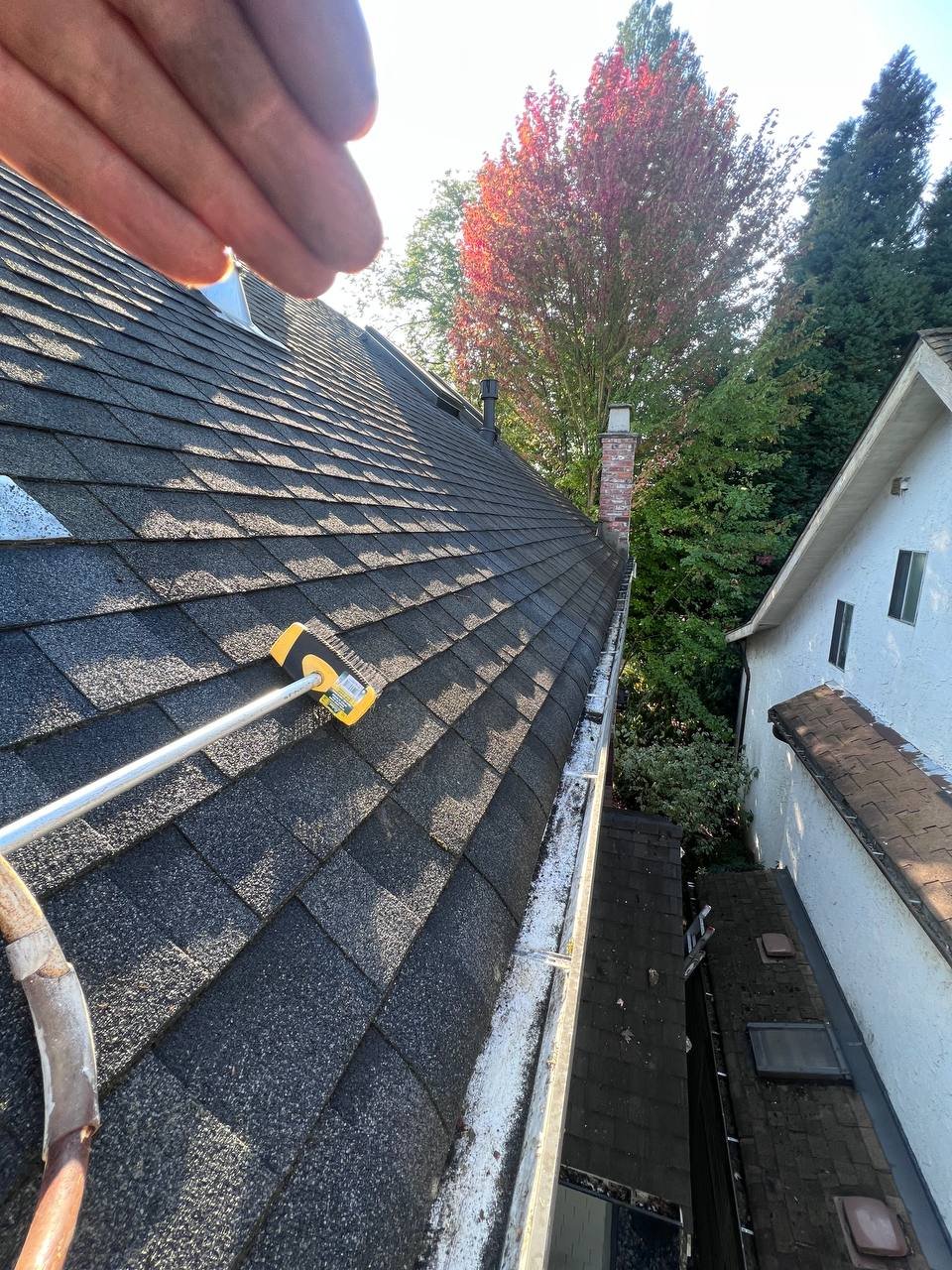 Roof brushing on asphalt shingles in Vancouver