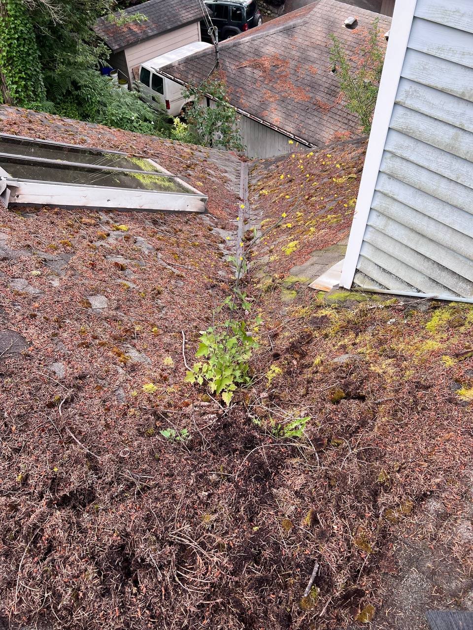 Before asphalt shingle roof cleaning in Vancouver