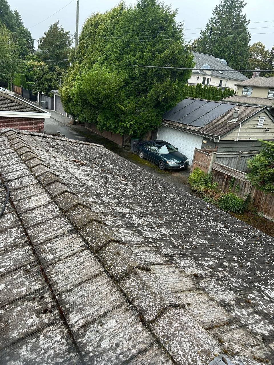 Tile roof before moss and organic buildup cleaning