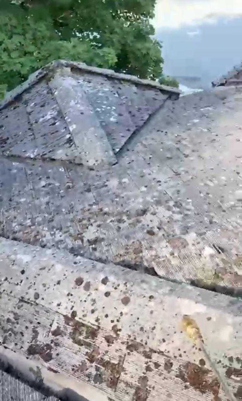 Roof before soft wash cleaning with visible organic staining