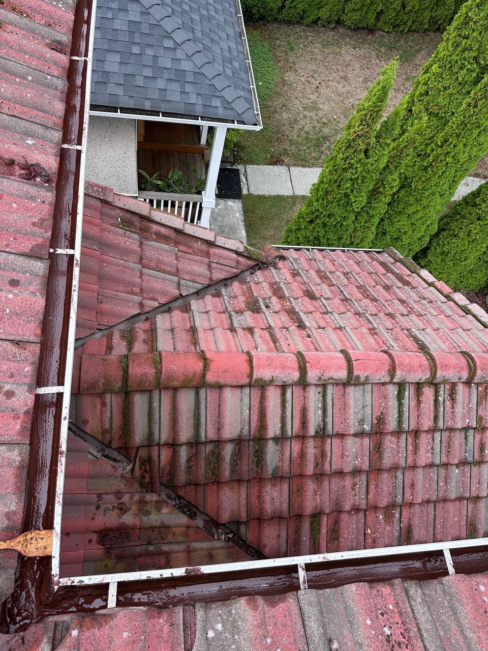 Older tile roof where pressure washing may not be appropriate