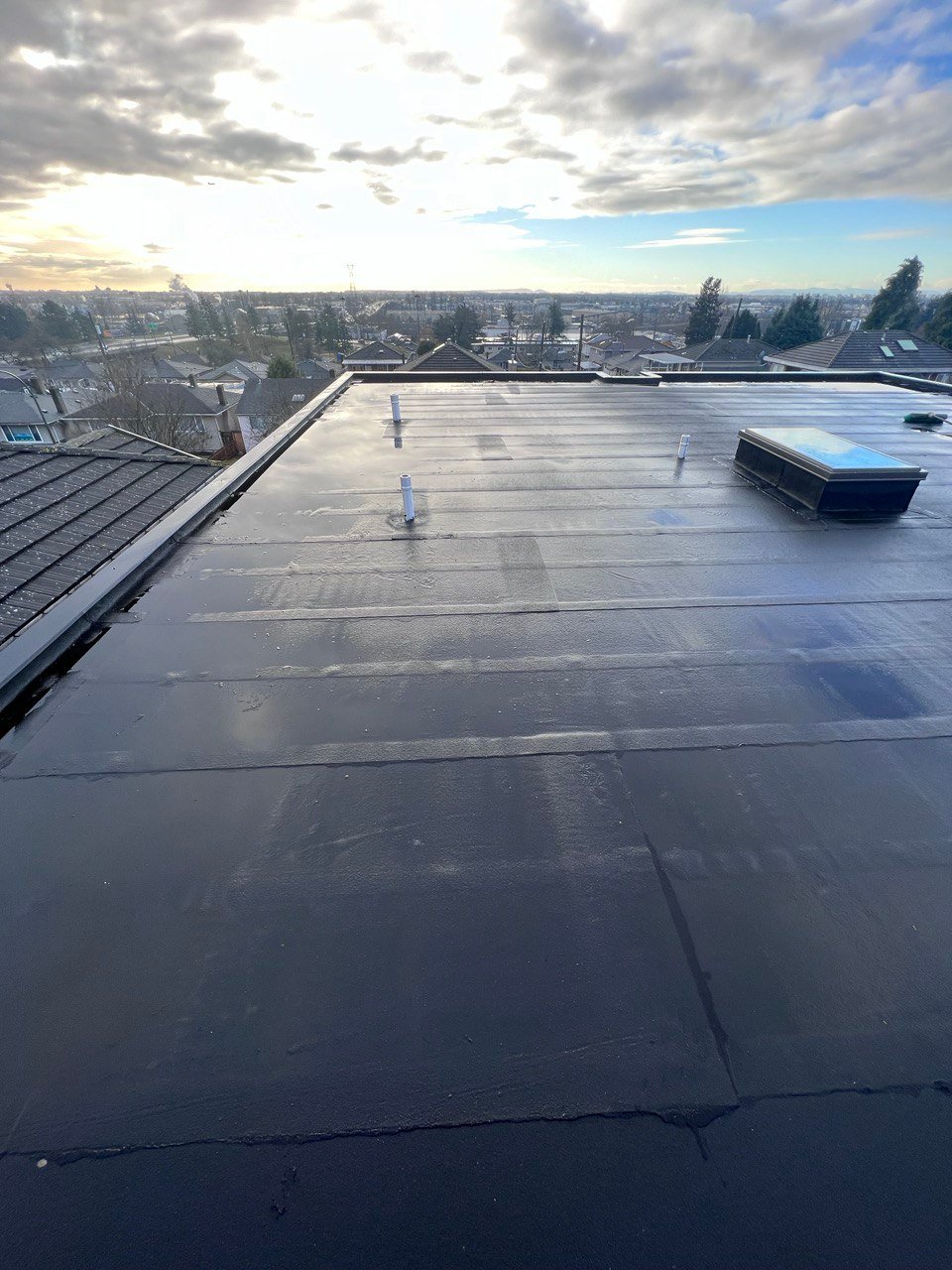 Fall flat roof cleaning with leaves and needles in Vancouver