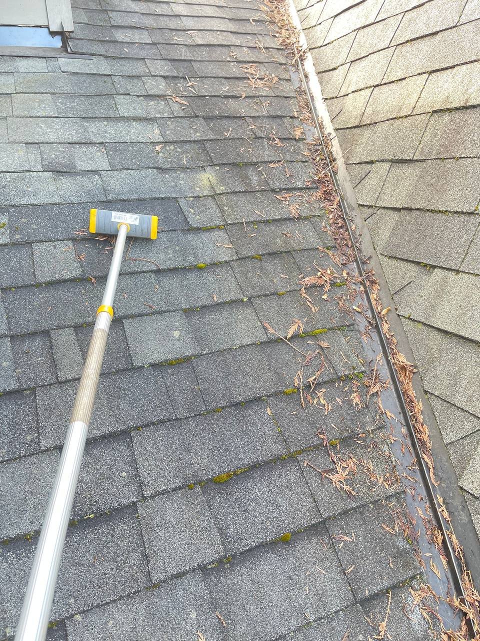 Physical moss removal with roof cleaning brush