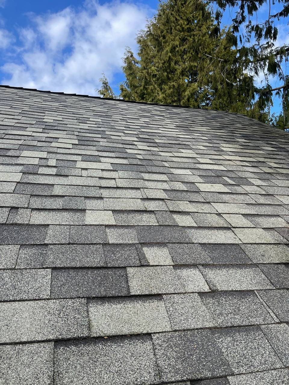 Roof after physical brush cleaning and moss removal