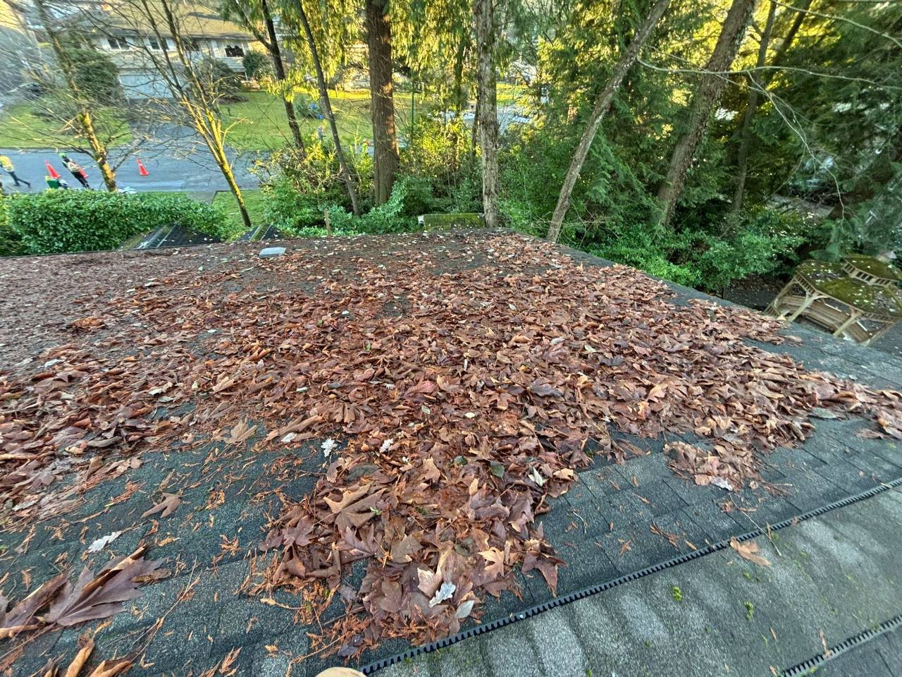 Roof valley with leaves and debris before roof blowing service