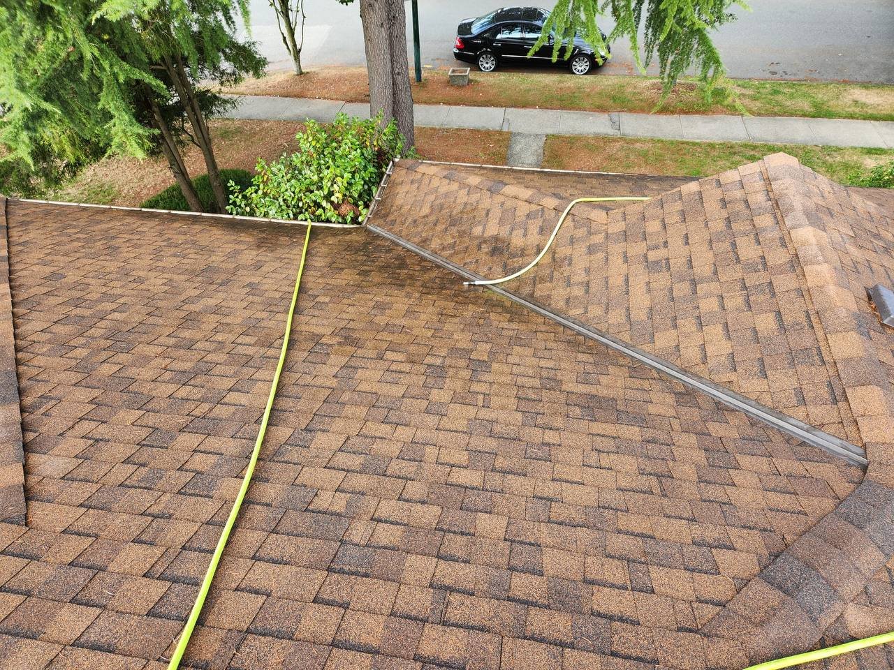 Roof surface after professional roof debris removal