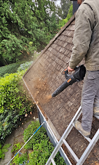 Roof debris removal from asphalt shingle roof in Vancouver