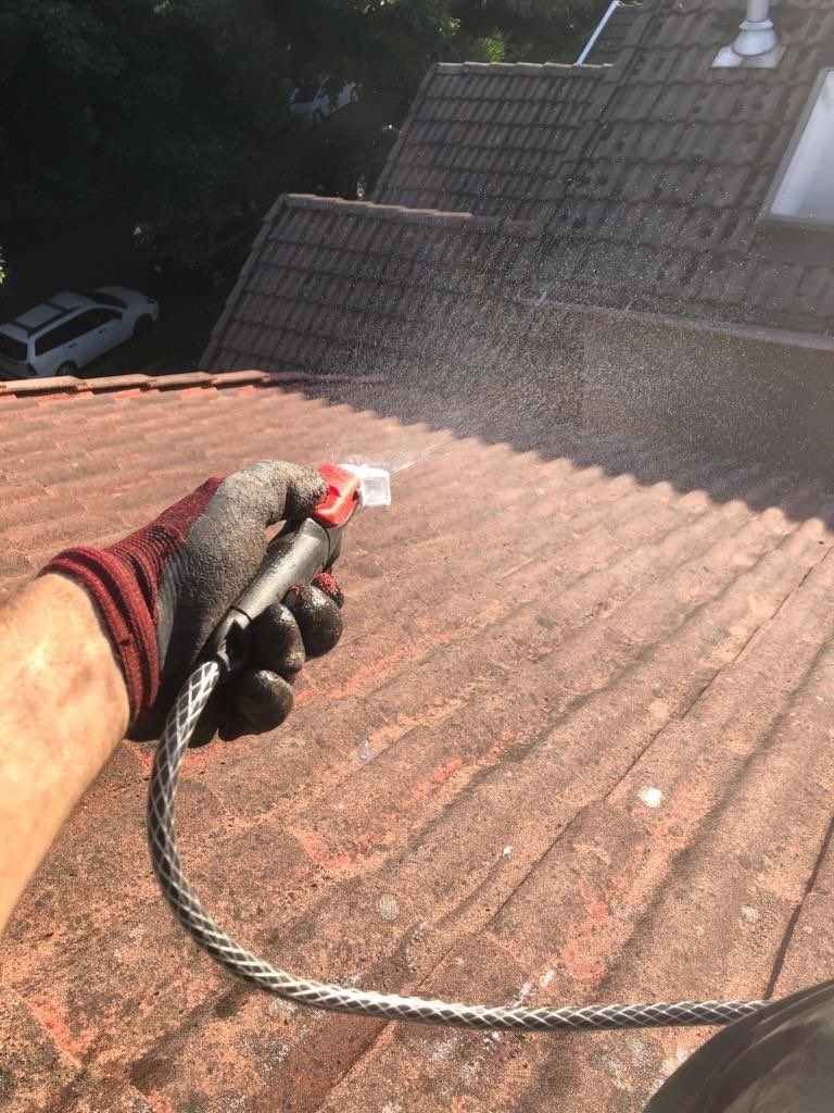 Soft wash roof cleaning service in Vancouver