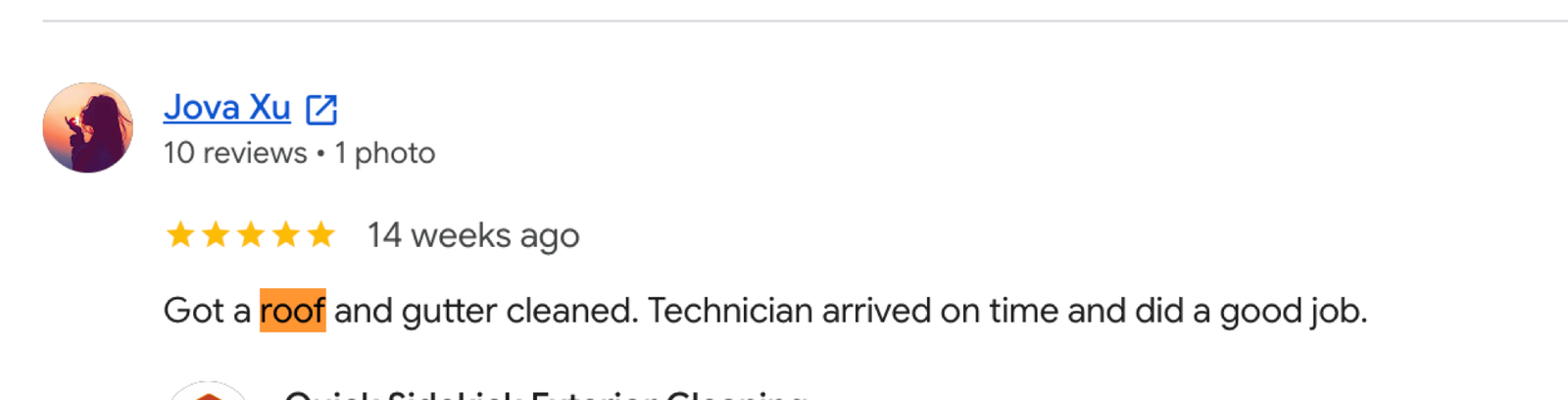 Quick Sidekick roof cleaning Google review 1