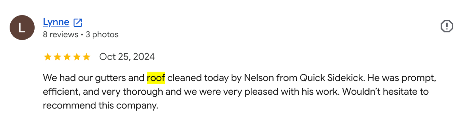 Quick Sidekick roof cleaning Google review 8