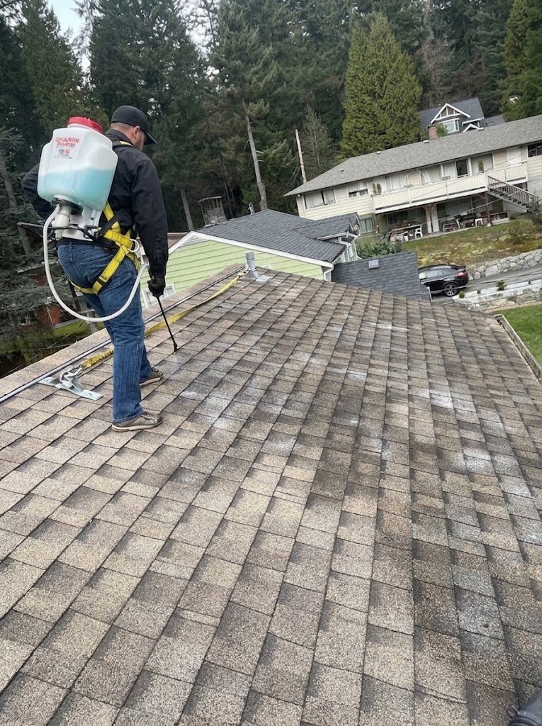 Quick Sidekick technician spraying roof moss treatment on a Vancouver roof