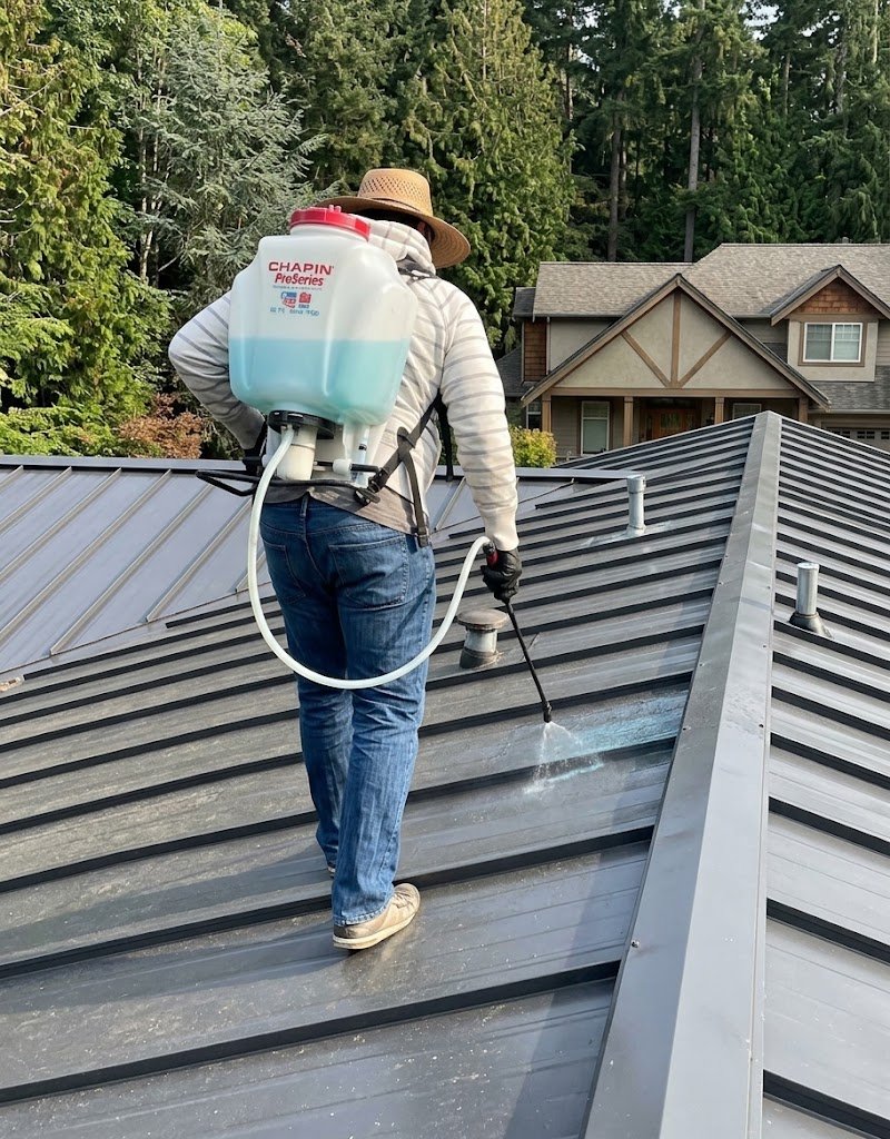 Applying cleaning solution to a metal roof