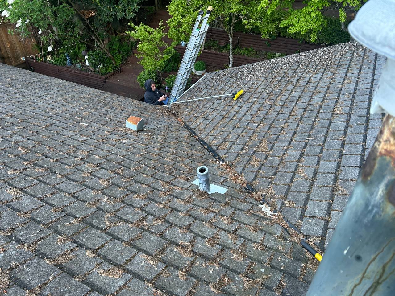 Spring roof cleaning service in Vancouver