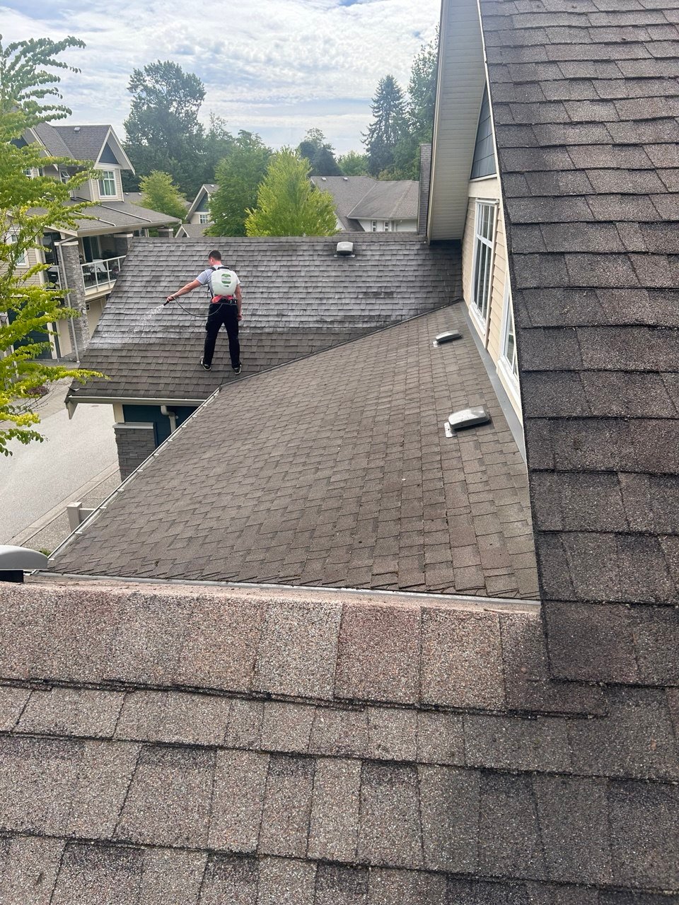 Strata and townhouse roof cleaning in Vancouver