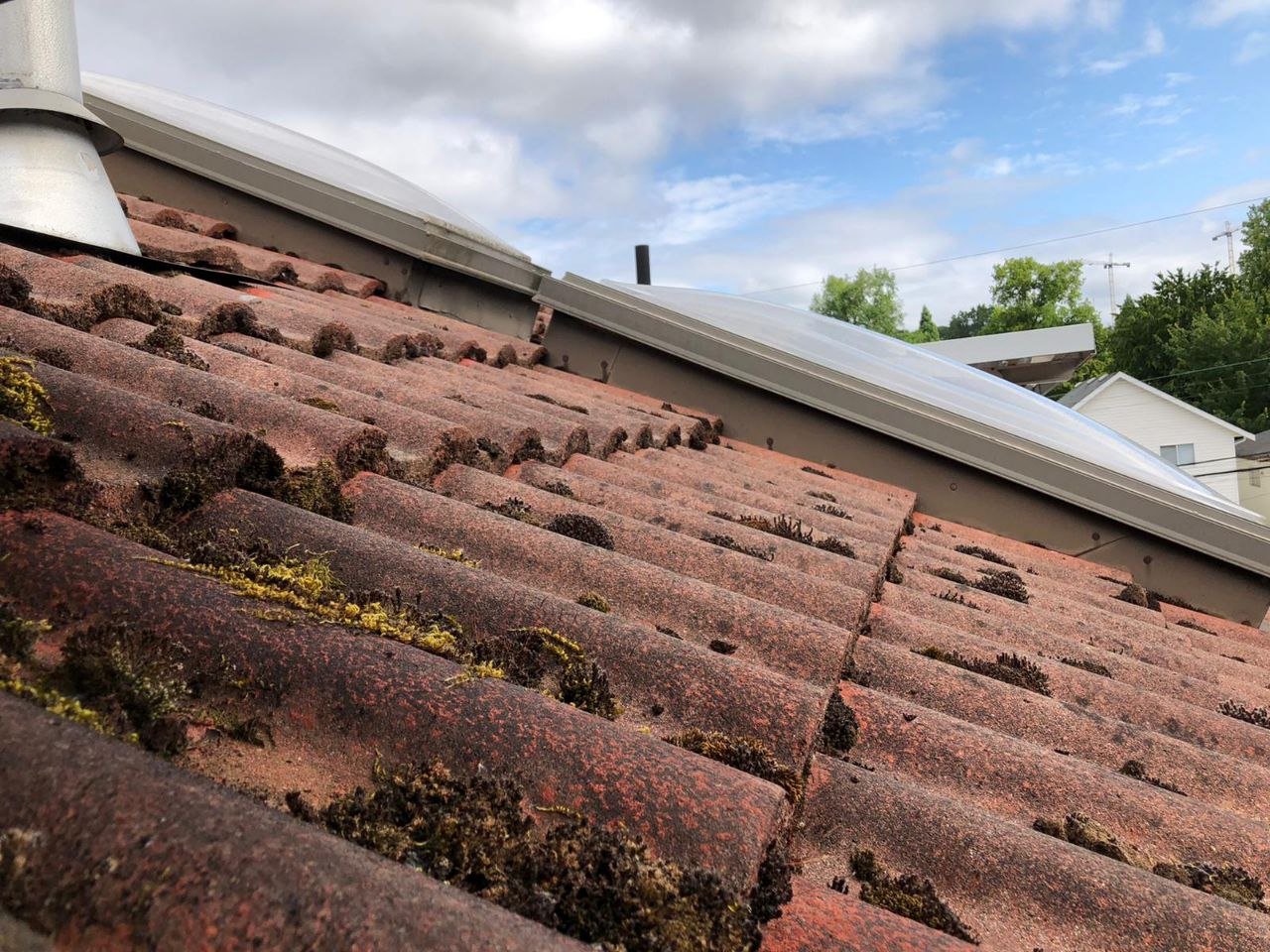 Moss growing on tile roofing in Vancouver