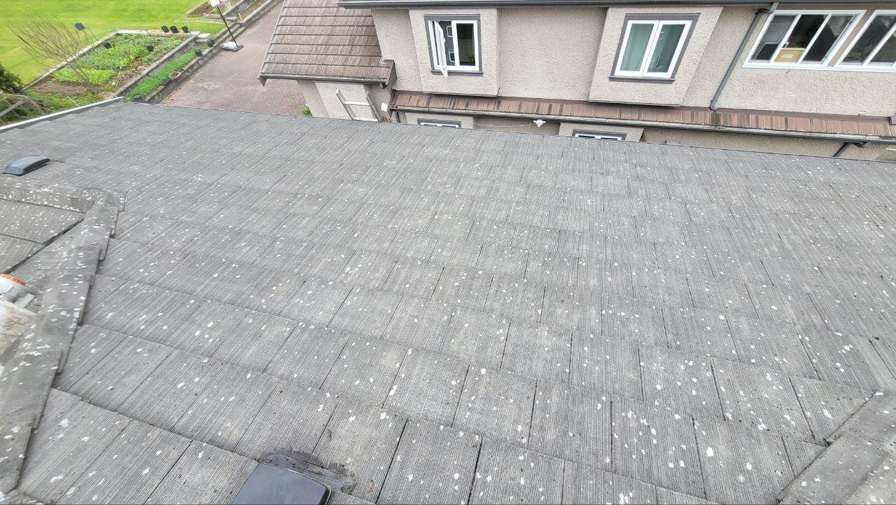 Flat tile roof after physical moss removal