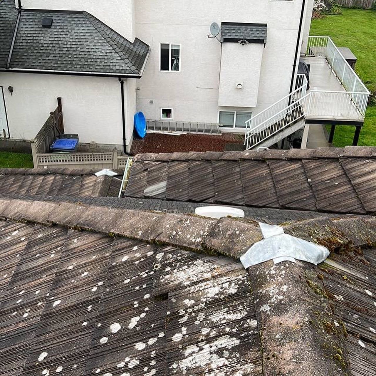 Tile roof before cleaning with moss and organic buildup