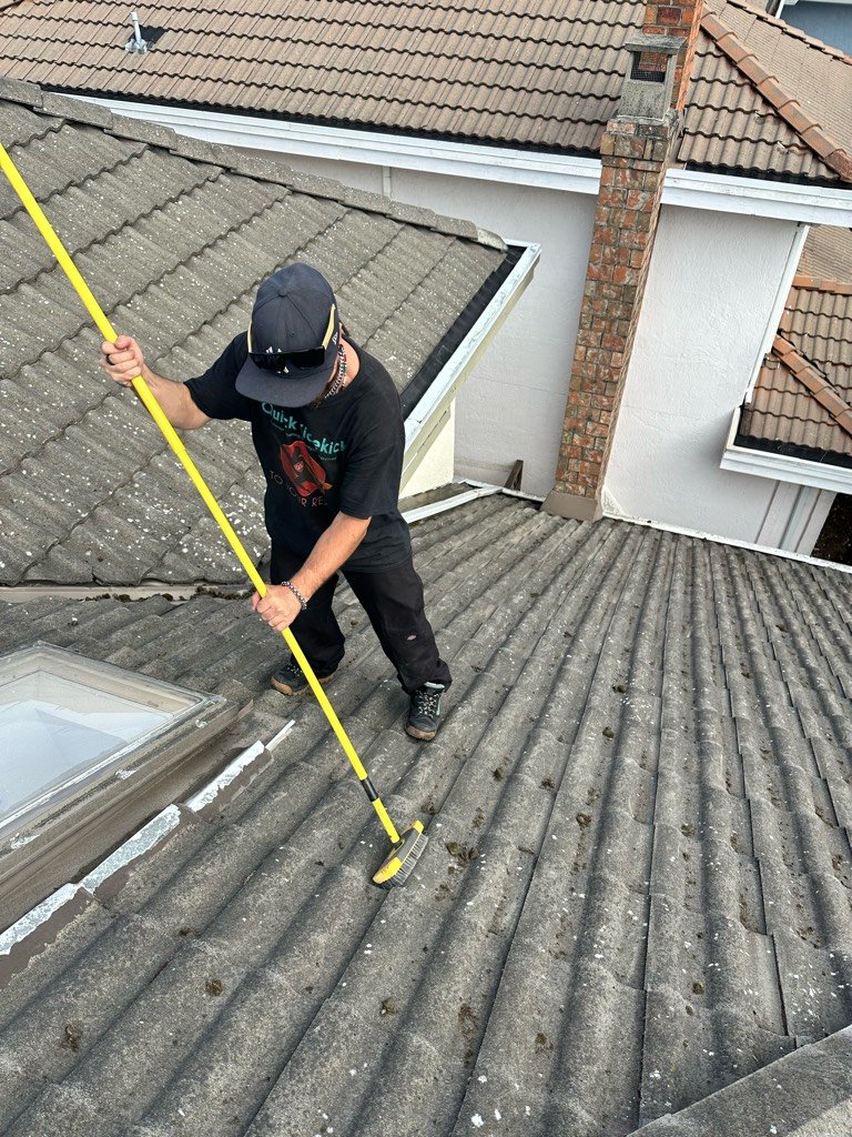 Tile roof with moss before roof brush cleaning