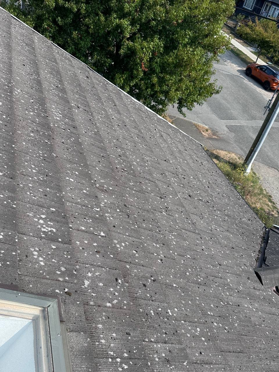 Lichen buildup on roof tiles before cleaning