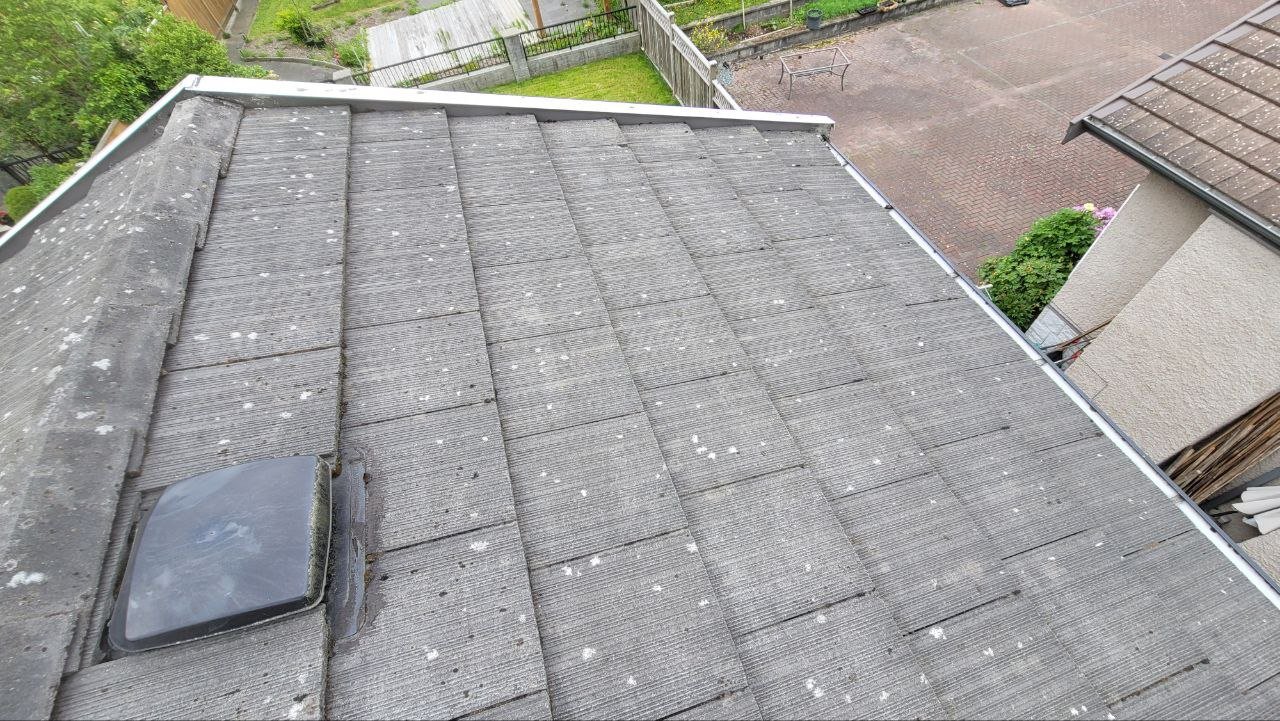 Tile roof after brush cleaning