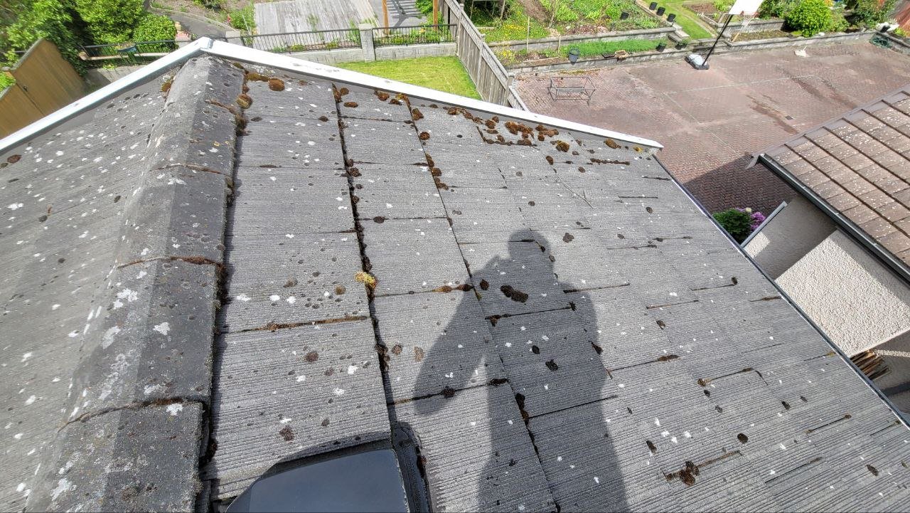 Tile roof before brush cleaning
