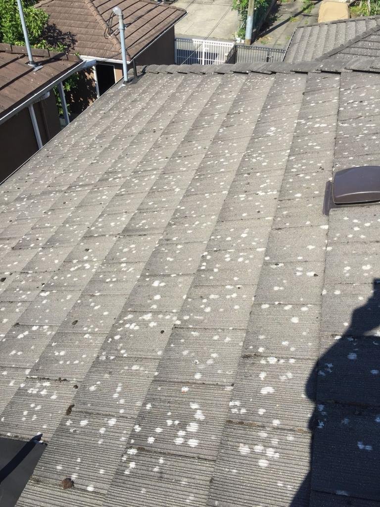 Tile roof before cleaning with visible staining and organic buildup