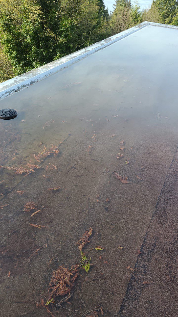 Water pooling on a flat roof in Vancouver
