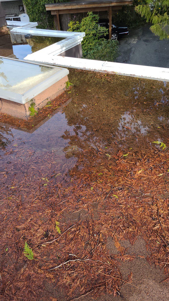 Debris and standing water collecting on a flat roof in Vancouver