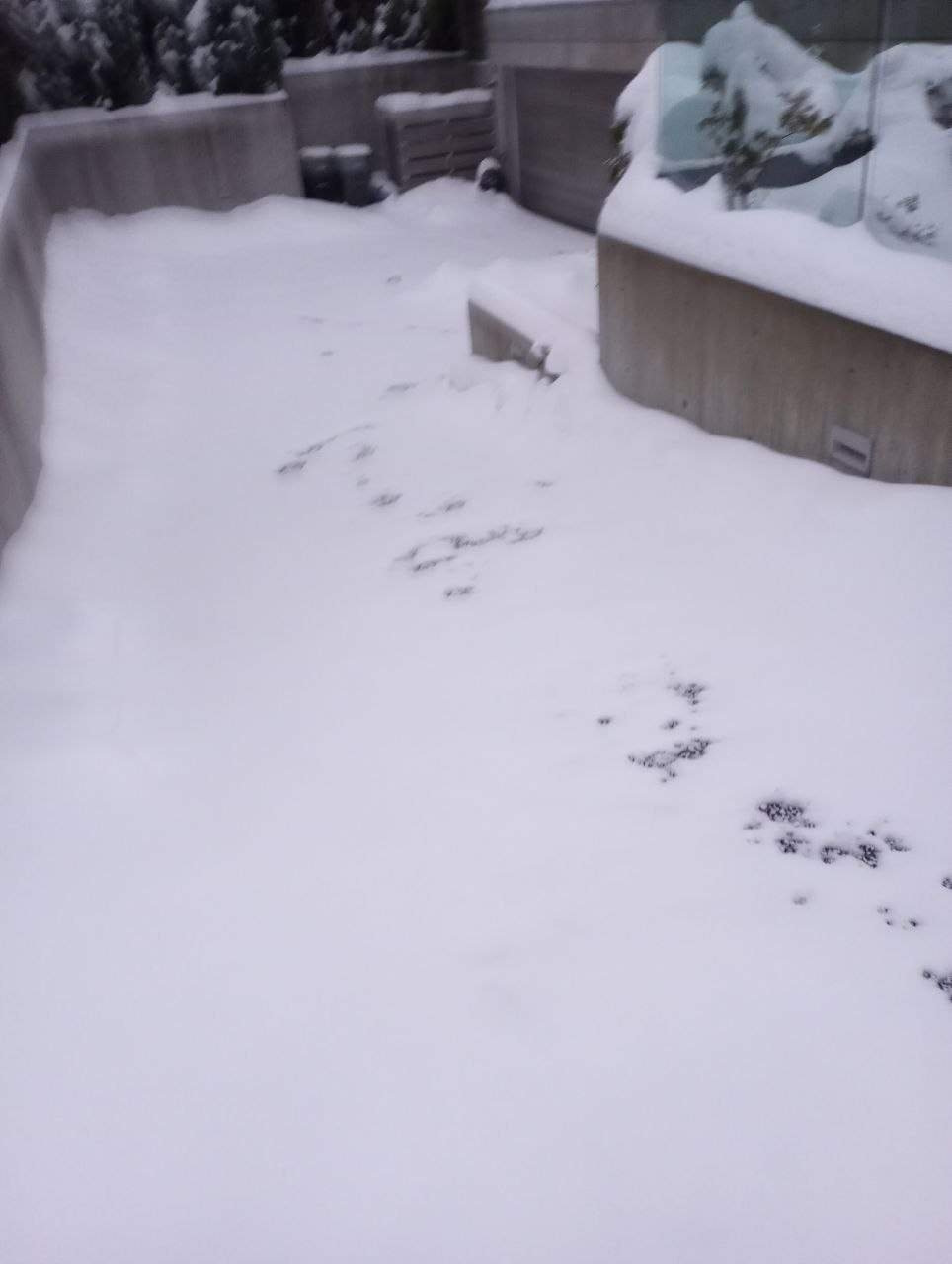 Residential side pathway before snow removal