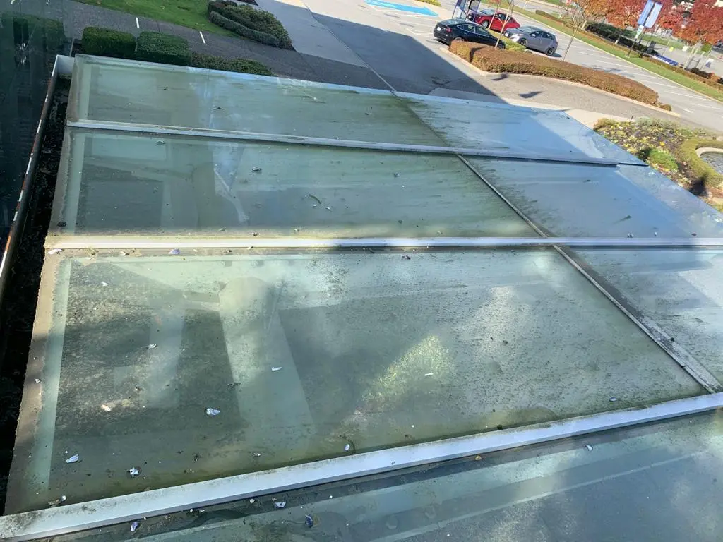 Moss and algae buildup on exterior glass awning in Vancouver
