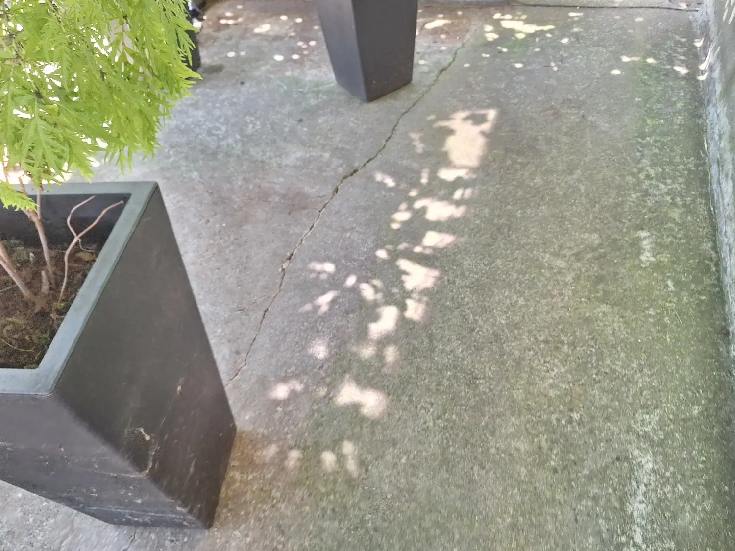 Green algae buildup on concrete deck