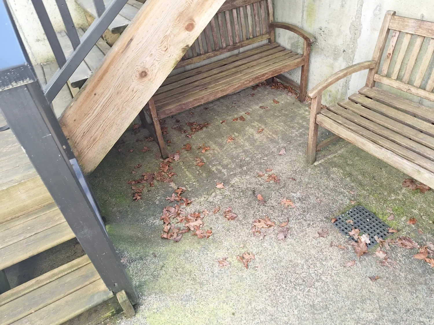 Leaves and tree debris on outdoor deck