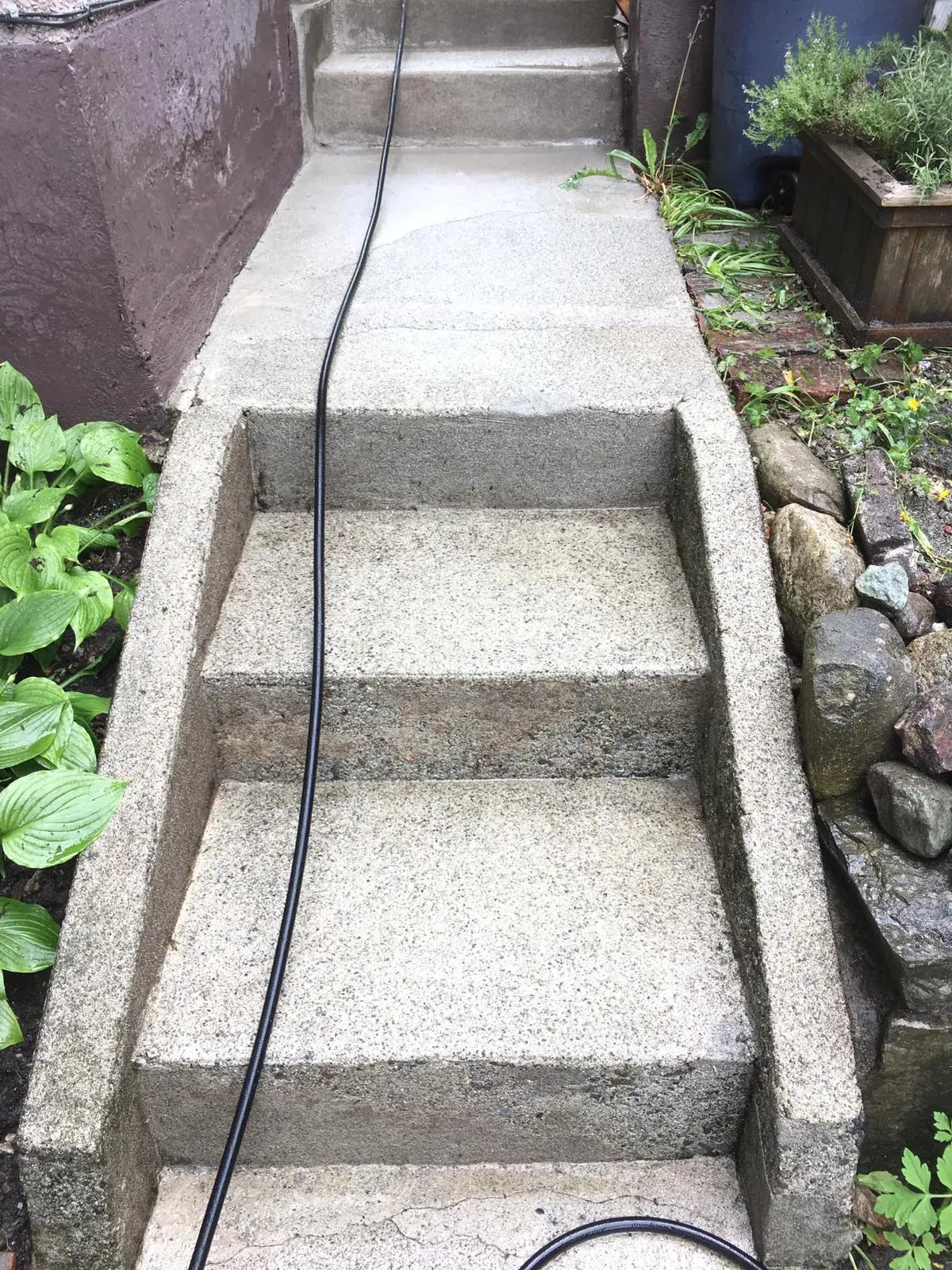 Outdoor concrete after professional cleaning