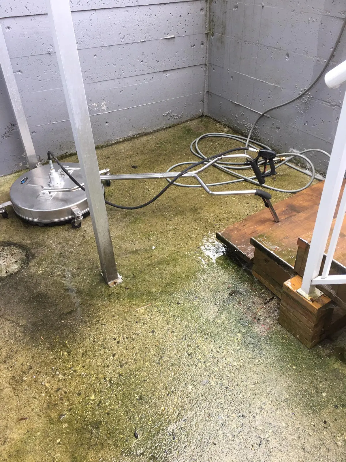 Concrete walkway before pressure washing
