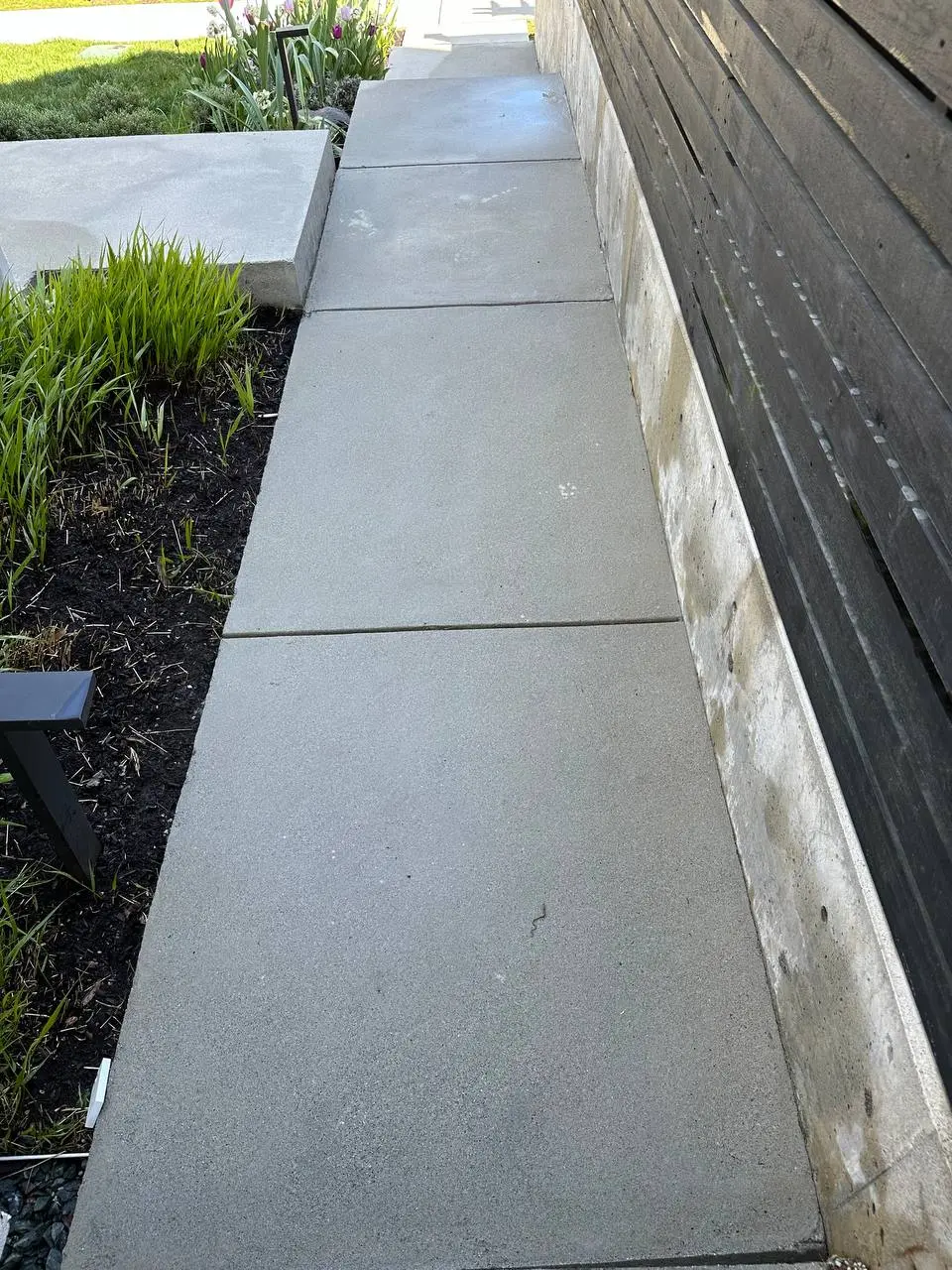 Clean curved concrete walkway through a landscaped garden