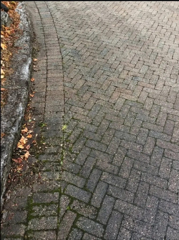 Driveway before pressure washing