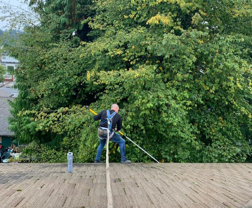 Gutter cleaning service Gutter cleaning service