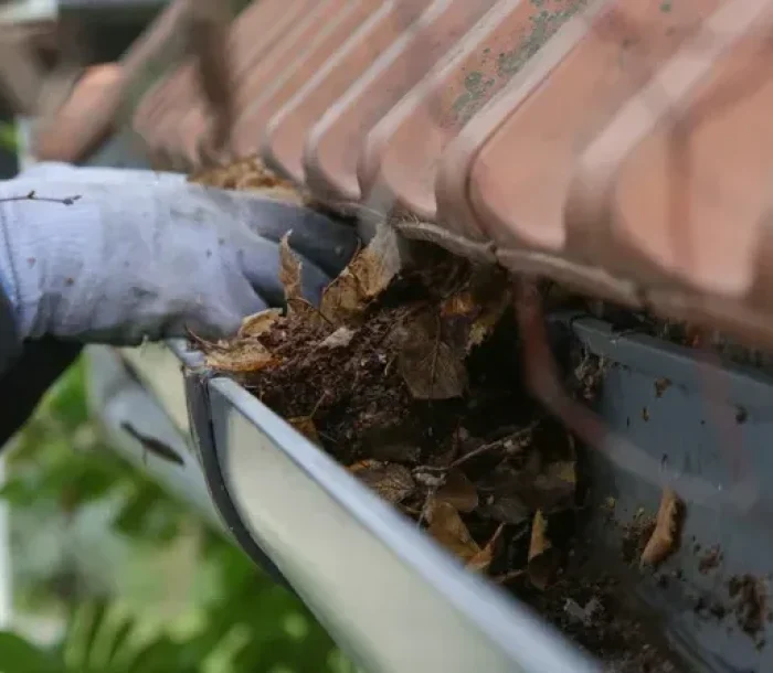 gutter-cleaning-burnaby Hand gutter cleaning service in Surrey home