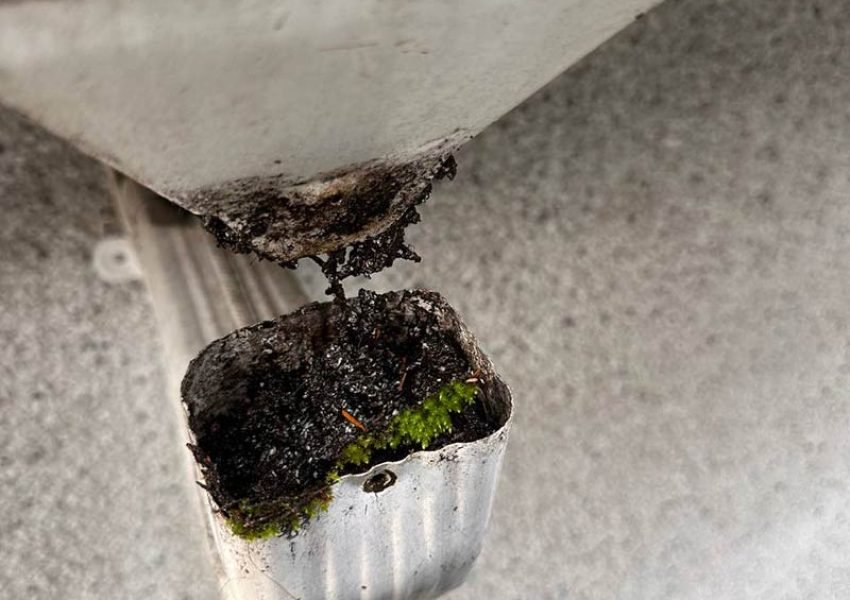 gutter-repair gutter repair